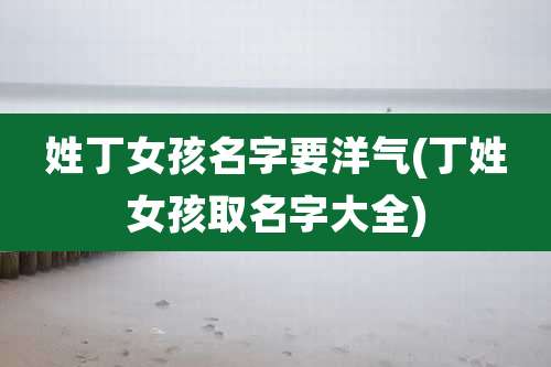 姓丁女孩名字要洋气(丁姓女孩取名字大全)