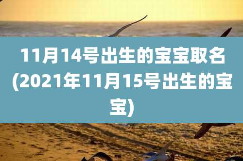 11月14号出生的宝宝取名(2021年11月15号出生的宝宝)