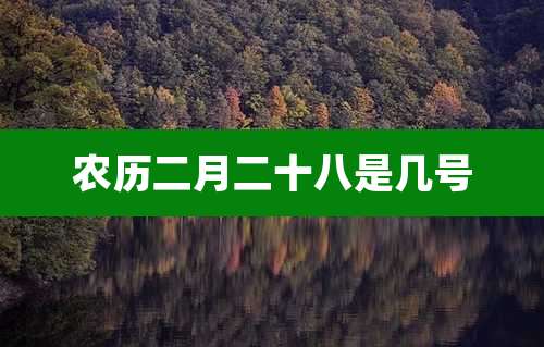 农历二月二十八是几号