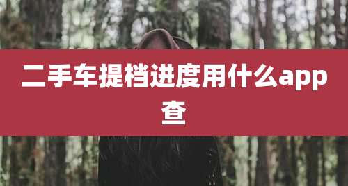 二手车提档进度用什么app查