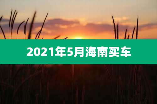 2021年5月海南买车
