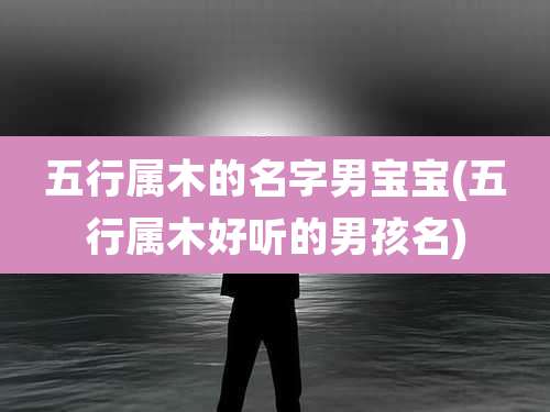 五行属木的名字男宝宝(五行属木好听的男孩名)