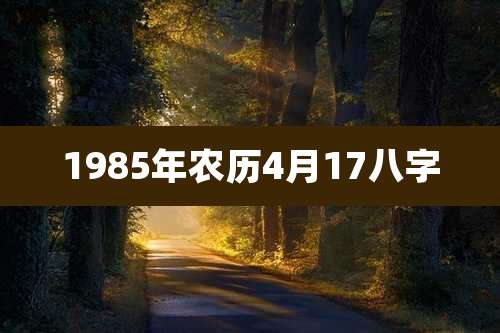 1985年农历4月17八字