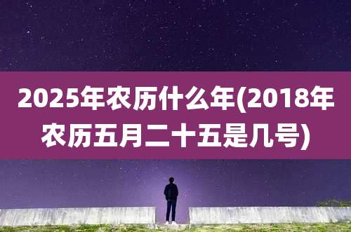 2025年农历什么年(2018年农历五月二十五是几号)