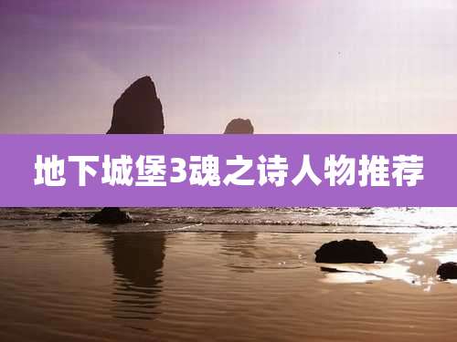 地下城堡3魂之诗人物推荐
