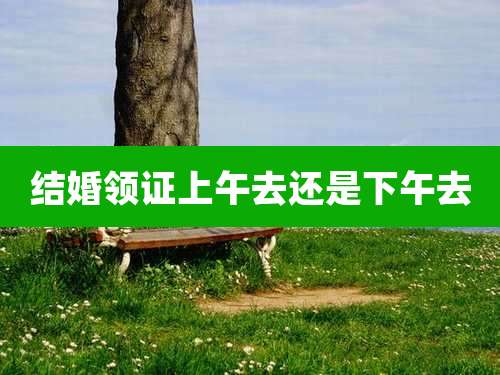 结婚领证上午去还是下午去