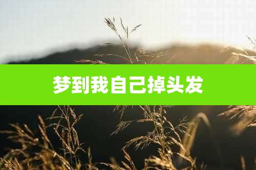 梦到我自己掉头发