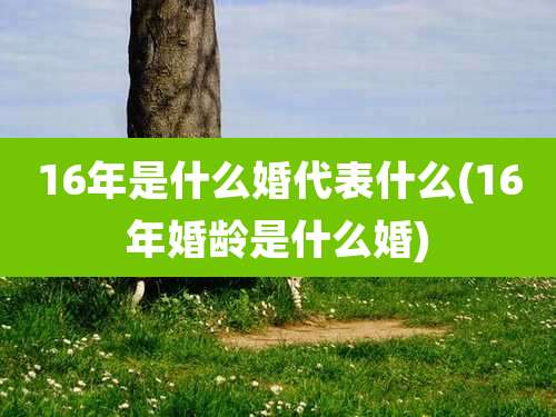 16年是什么婚代表什么(16年婚龄是什么婚)