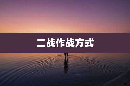 二战作战方式