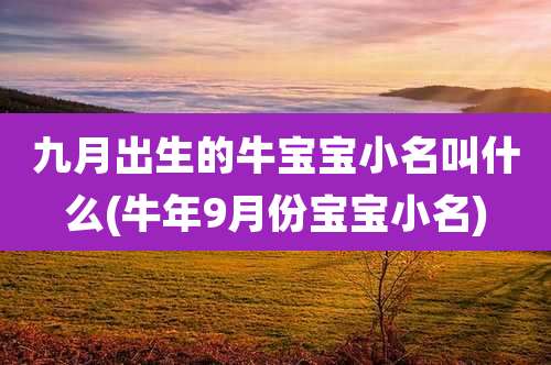 九月出生的牛宝宝小名叫什么(牛年9月份宝宝小名)