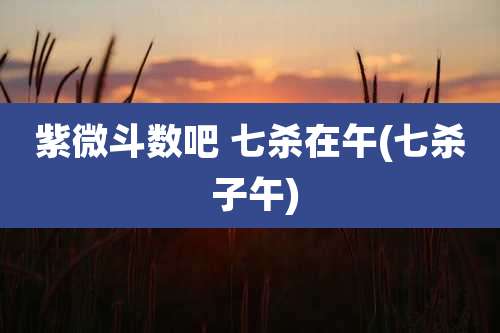 紫微斗数吧 七杀在午(七杀 子午)