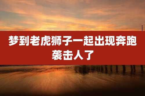 梦到老虎狮子一起出现奔跑袭击人了