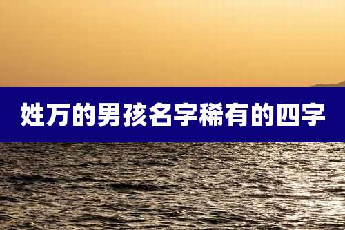 姓万的男孩名字稀有的四字