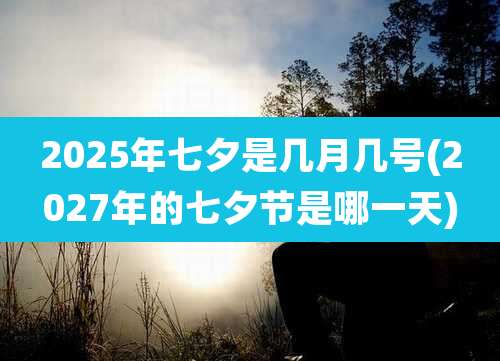 2025年七夕是几月几号(2027年的七夕节是哪一天)