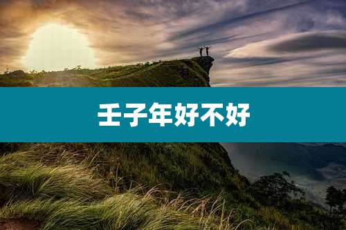 壬子年好不好