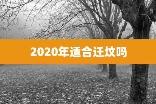 2020年适合迁坟吗
