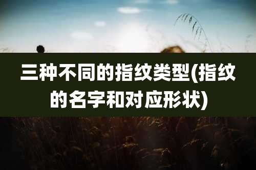三种不同的指纹类型(指纹的名字和对应形状)