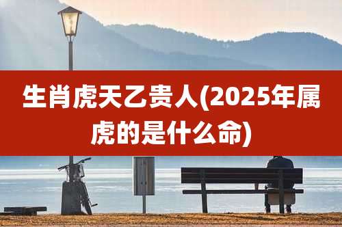 生肖虎天乙贵人(2025年属虎的是什么命)