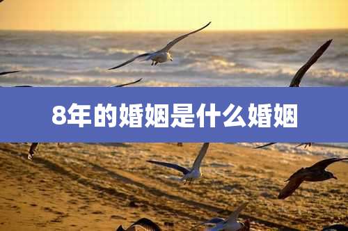 8年的婚姻是什么婚姻