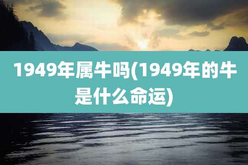 1949年属牛吗(1949年的牛是什么命运)