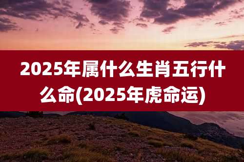 2025年属什么生肖五行什么命(2025年虎命运)