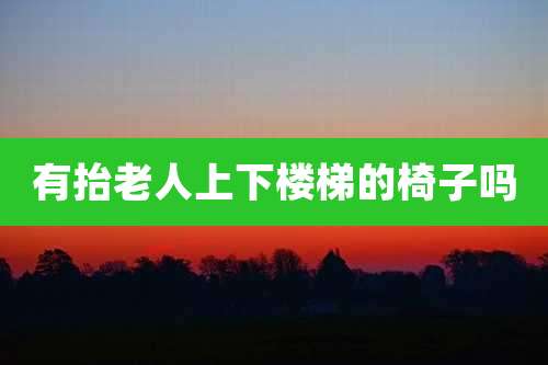 有抬老人上下楼梯的椅子吗