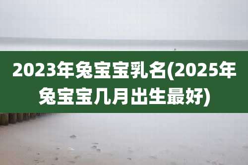 2023年兔宝宝乳名(2025年兔宝宝几月出生最好)