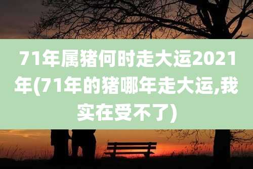 71年属猪何时走大运2021年(71年的猪哪年走大运,我实在受不了)