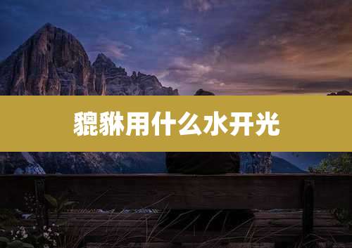 貔貅用什么水开光