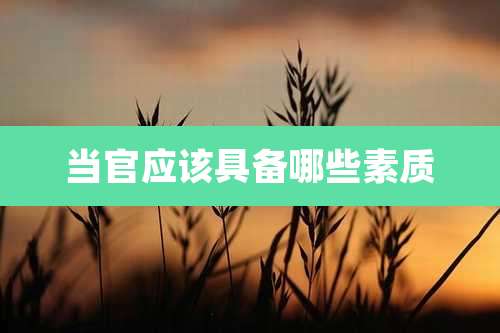 当官应该具备哪些素质