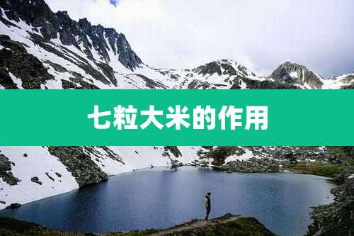 七粒大米的作用