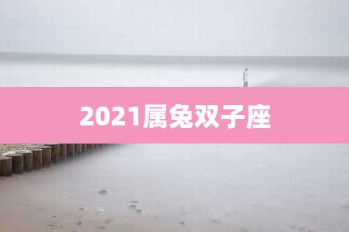2021属兔双子座