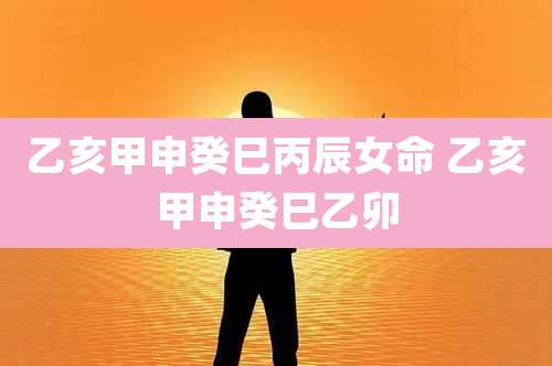 乙亥甲申癸巳丙辰女命 乙亥甲申癸巳乙卯