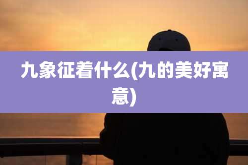 九象征着什么(九的美好寓意)
