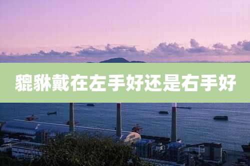 貔貅戴在左手好还是右手好