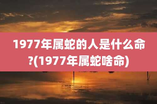 1977年属蛇的人是什么命?(1977年属蛇啥命)