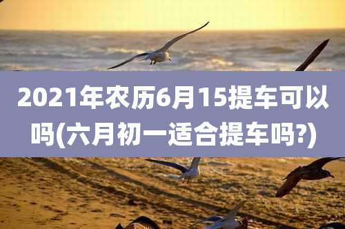 2021年农历6月15提车可以吗(六月初一适合提车吗?)