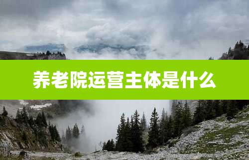 养老院运营主体是什么