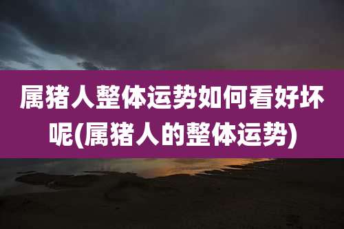 属猪人整体运势如何看好坏呢(属猪人的整体运势)