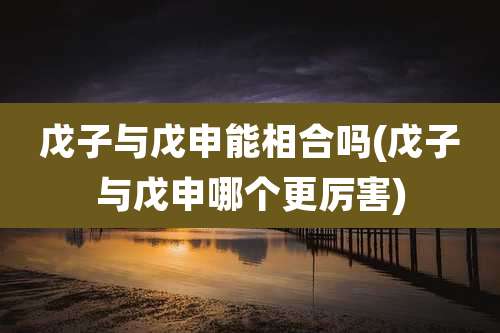 戊子与戊申能相合吗(戊子与戊申哪个更厉害)