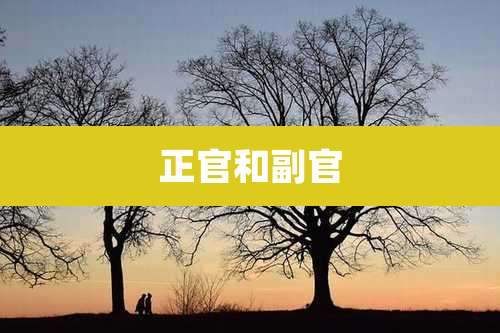 正官和副官