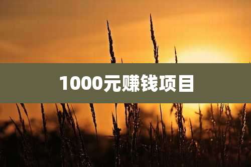 1000元赚钱项目