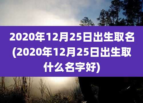 2020年12月25日出生取名(2020年12月25日出生取什么名字好)