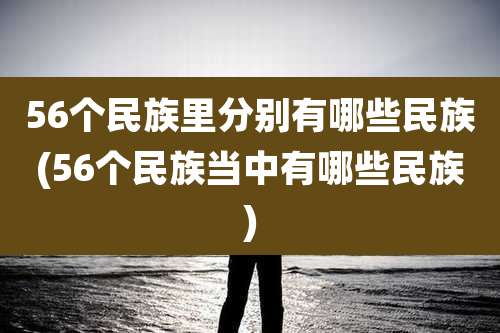 56个民族里分别有哪些民族(56个民族当中有哪些民族)