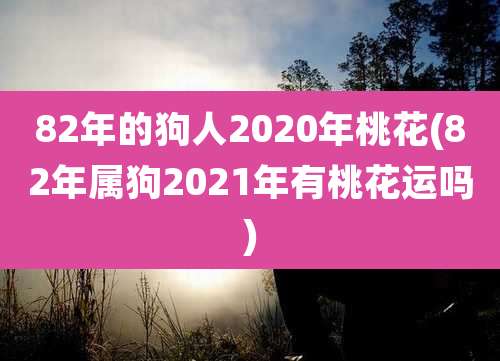 82年的狗人2020年桃花(82年属狗2021年有桃花运吗)