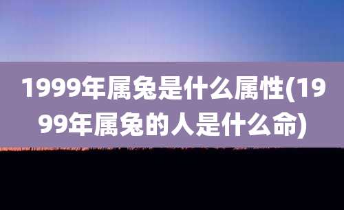 1999年属兔是什么属性(1999年属兔的人是什么命)