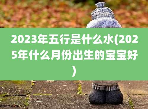 2023年五行是什么水(2025年什么月份出生的宝宝好)