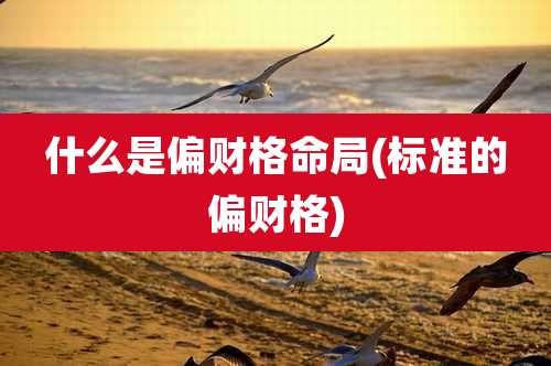 什么是偏财格命局(标准的偏财格)