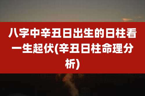 八字中辛丑日出生的日柱看一生起伏(辛丑日柱命理分析)