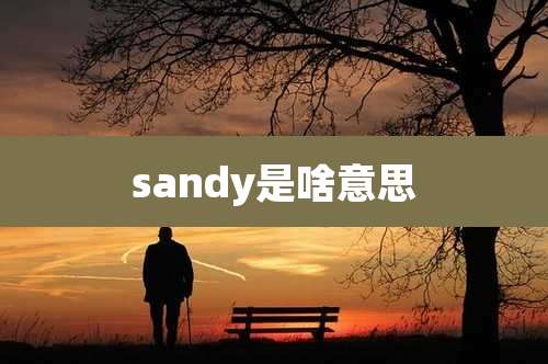 sandy是啥意思